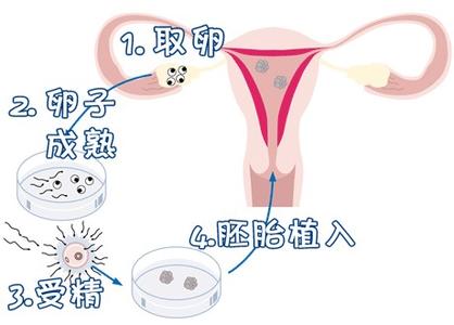 苏主任